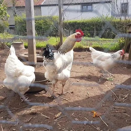 Chez Irma Nyaraló Attert